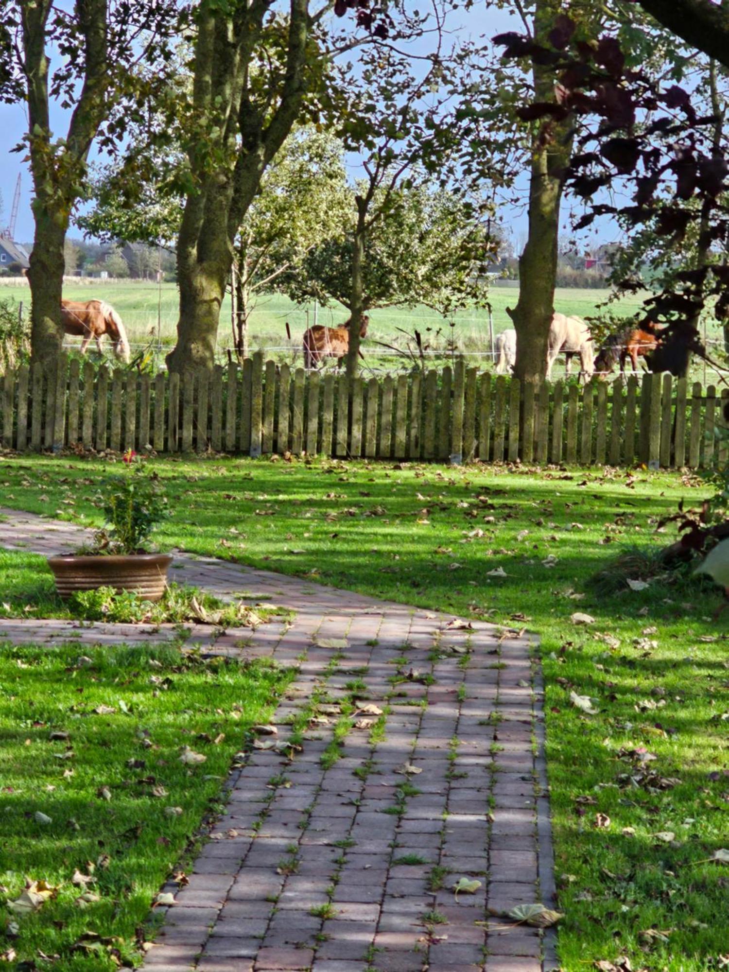 Ferienwohnungen Das Finkhaus Simonsberg Extérieur photo
